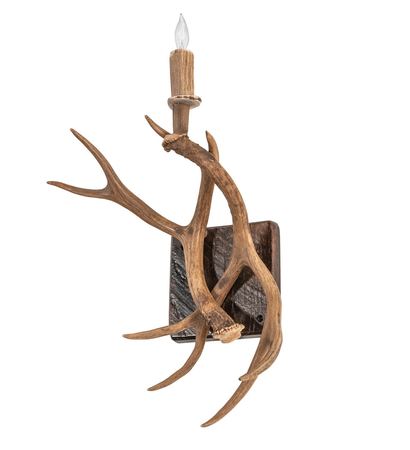 Antlers Elk and Mule Deer 1-Light 20.00" Natural Antler Wall Sconce detail view 2
