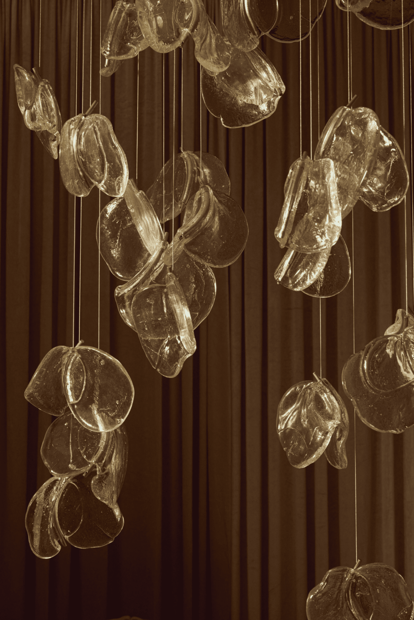 Luminous Glass Petals Chandelier