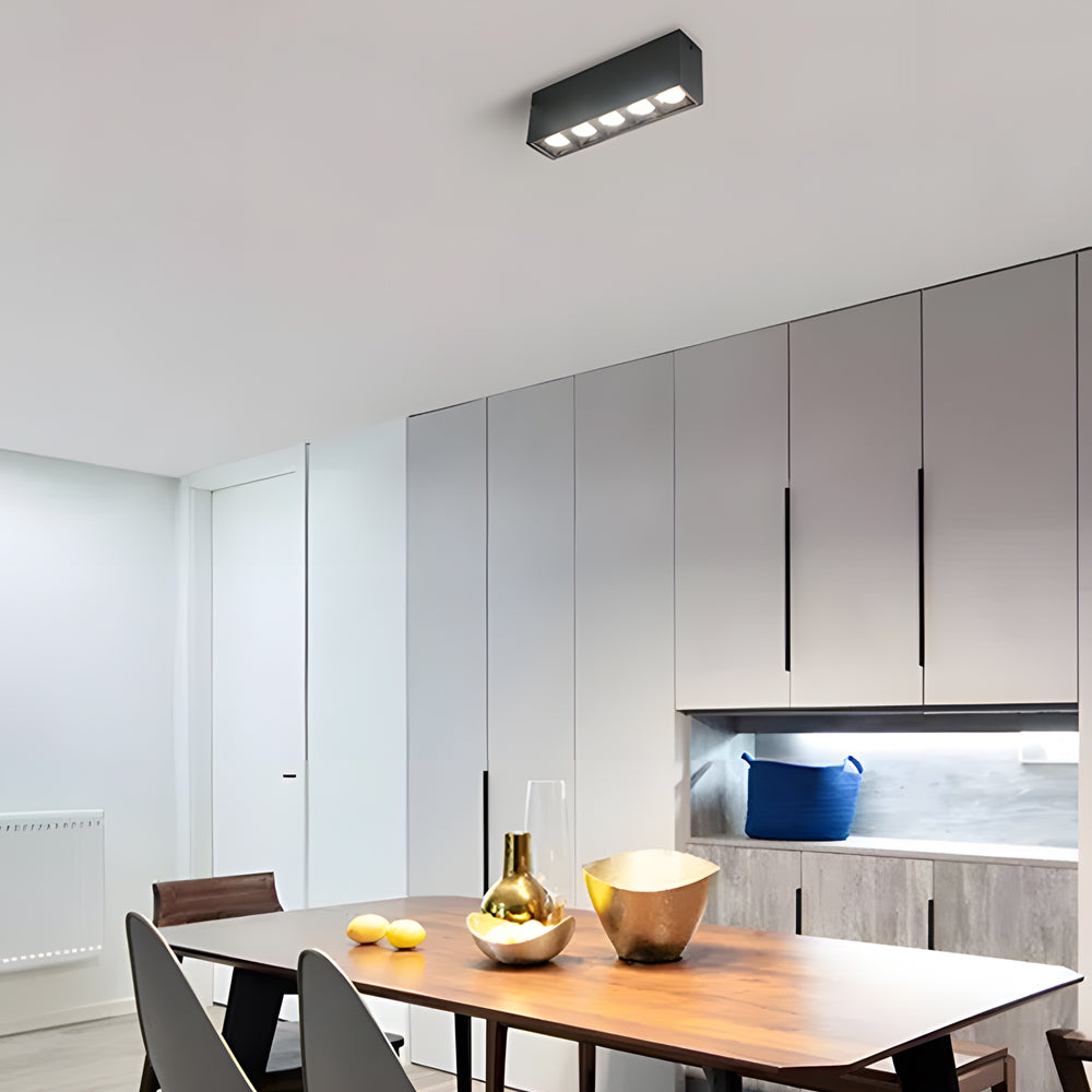 Surface Mount Linear LED Ceiling Fixture Ceiling Light