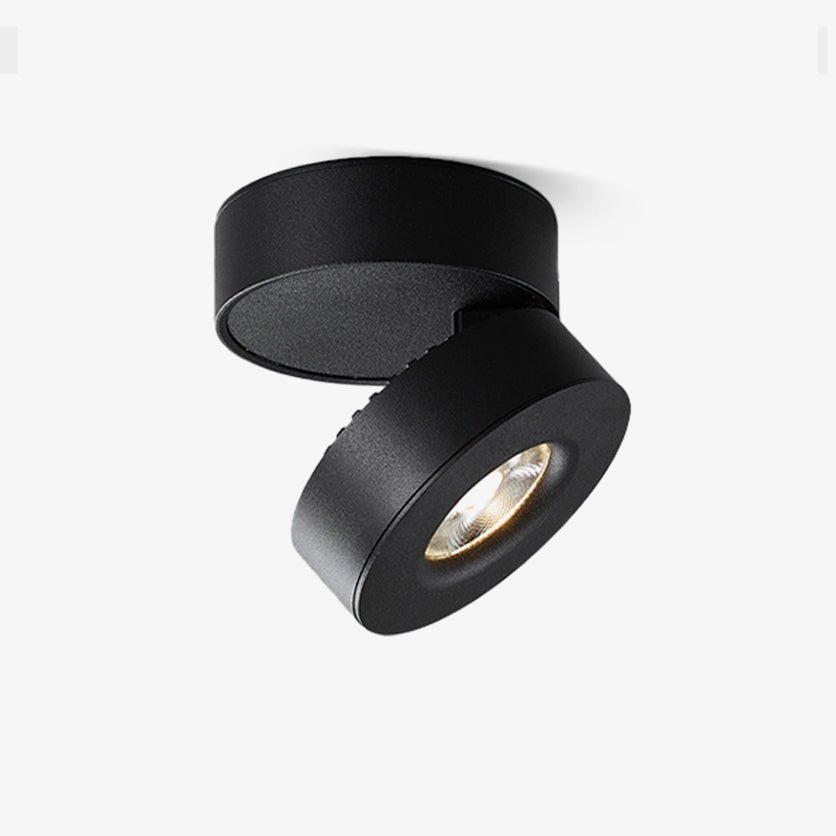 Lyric Adjustable Surface Downlight