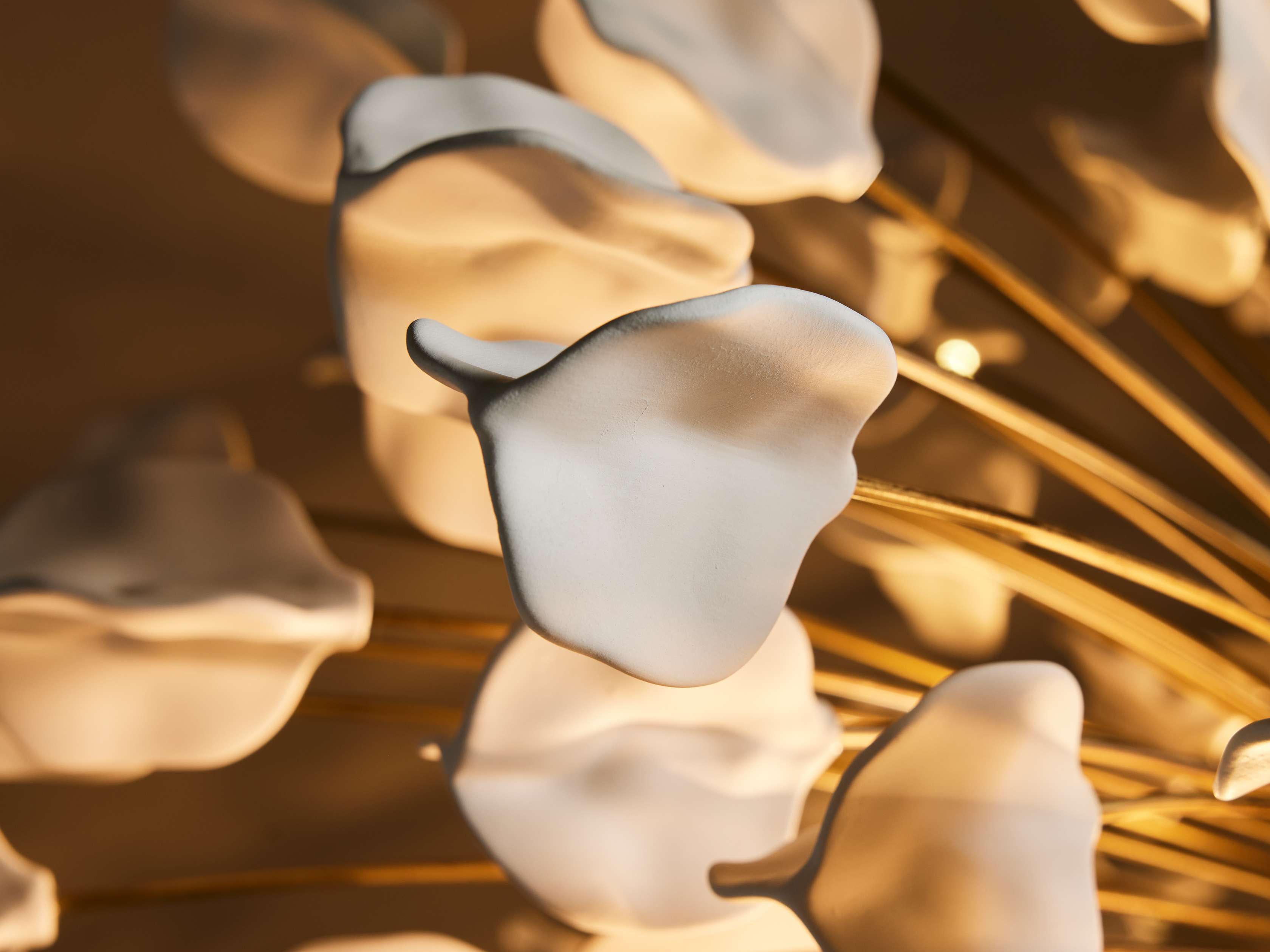 Lunaria Chandelier