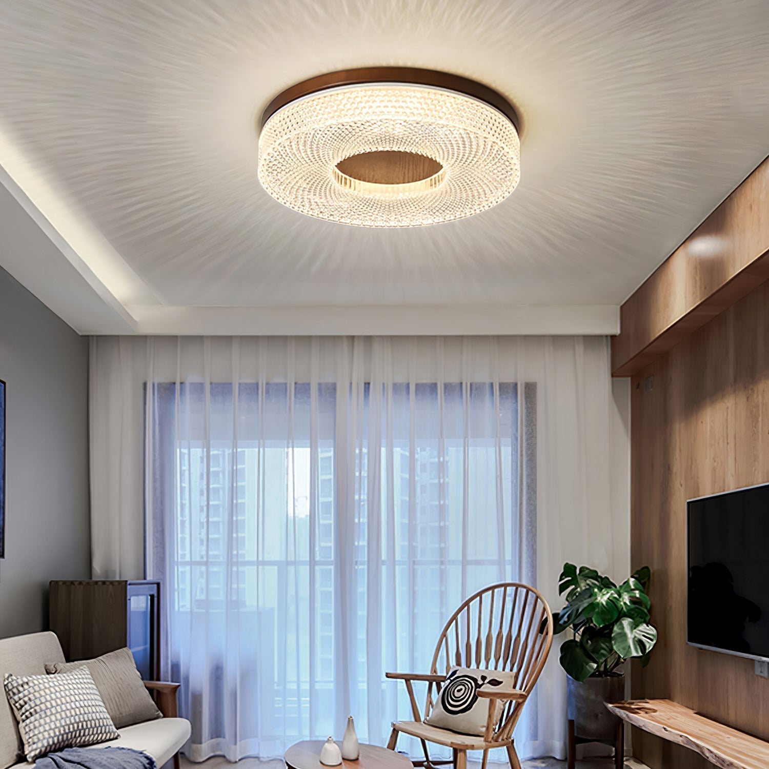 Acrylic Halo Round Ceiling Light — product detail 9