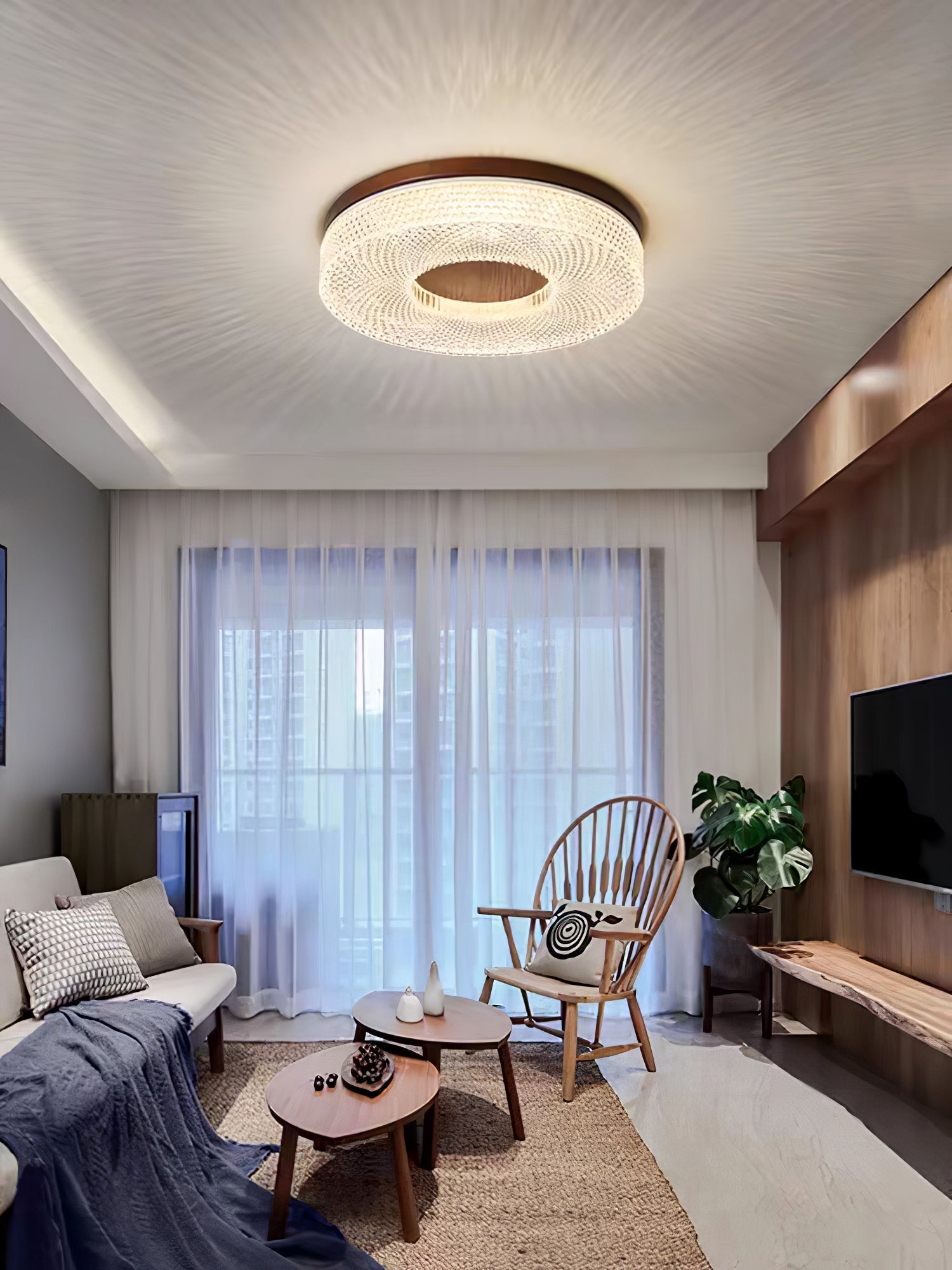 Acrylic Halo Round Ceiling Light — product detail 14