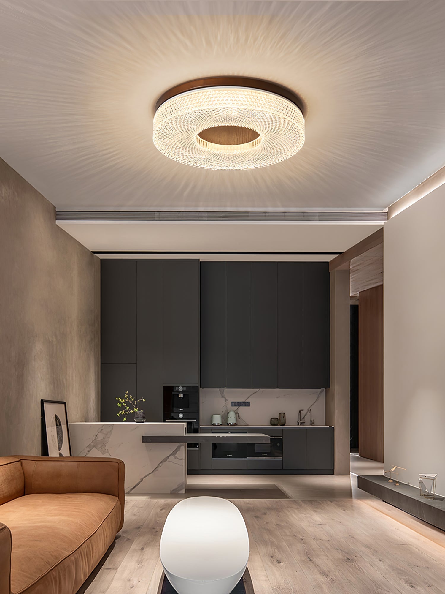 Acrylic Halo Round Ceiling Light — product detail 15