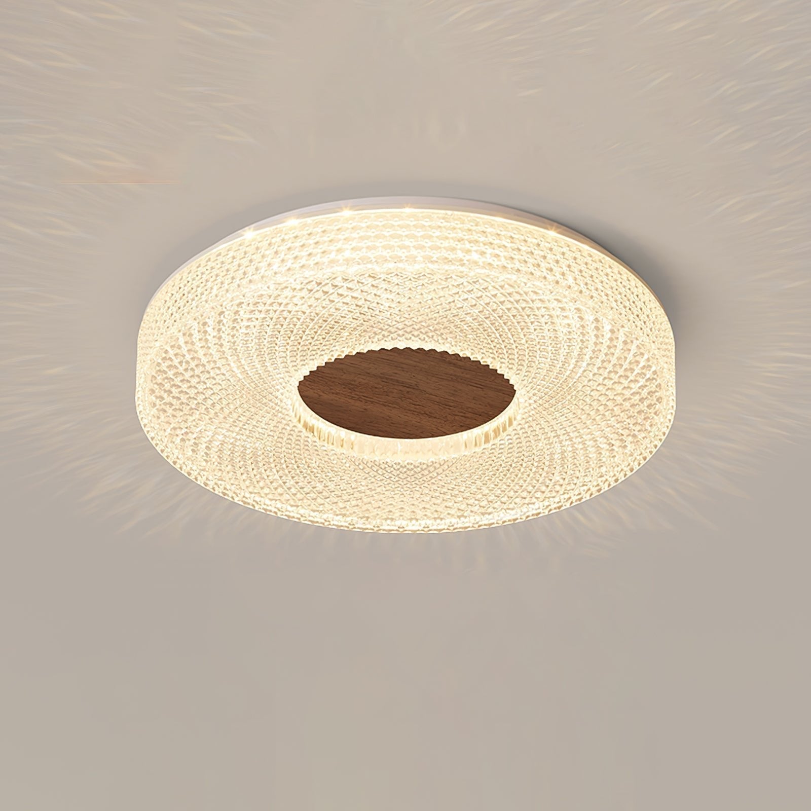Acrylic Halo Round Ceiling Light — product detail 4
