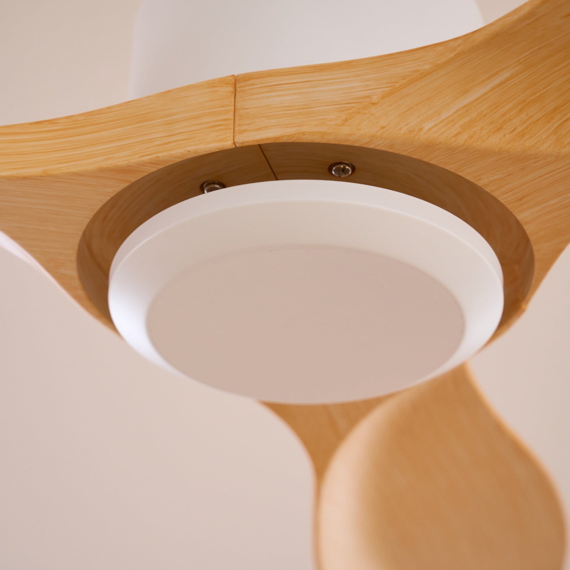 Amelia Ceiling Fan Light