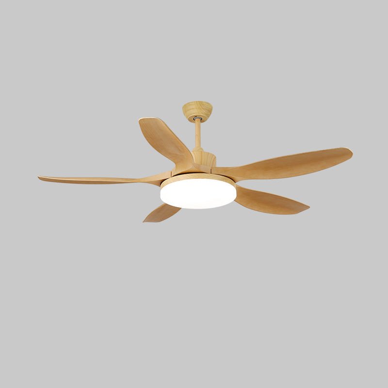 Keltis 42"/52" Ceiling Fan Light — product detail 21