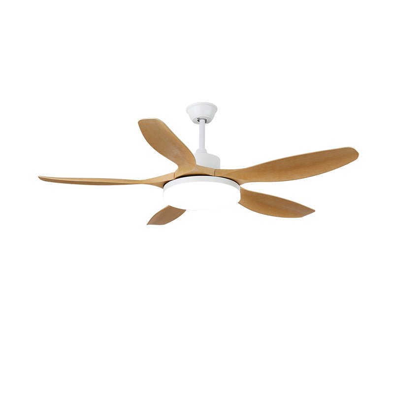Keltis 42"/52" Ceiling Fan Light — product detail 14