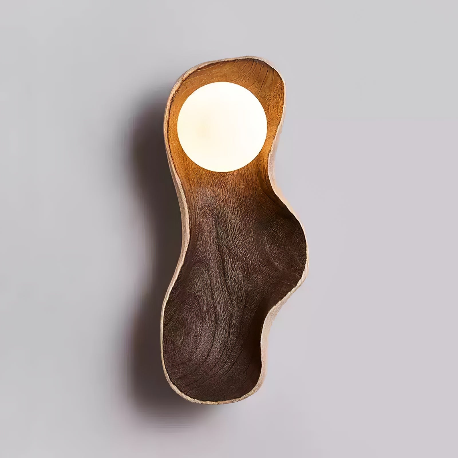 Dualis Rootlight Wall Sconce