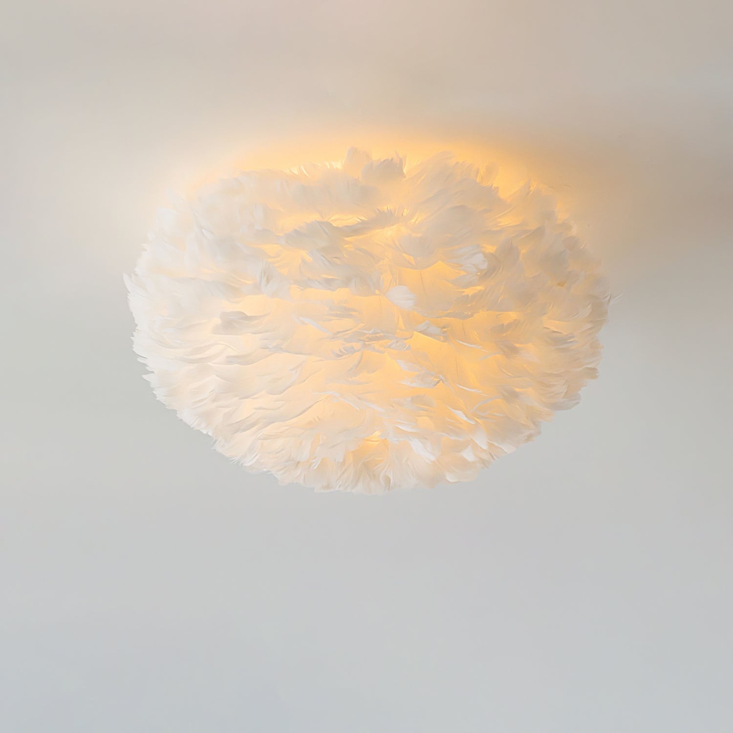 Feathered Ceiling Light