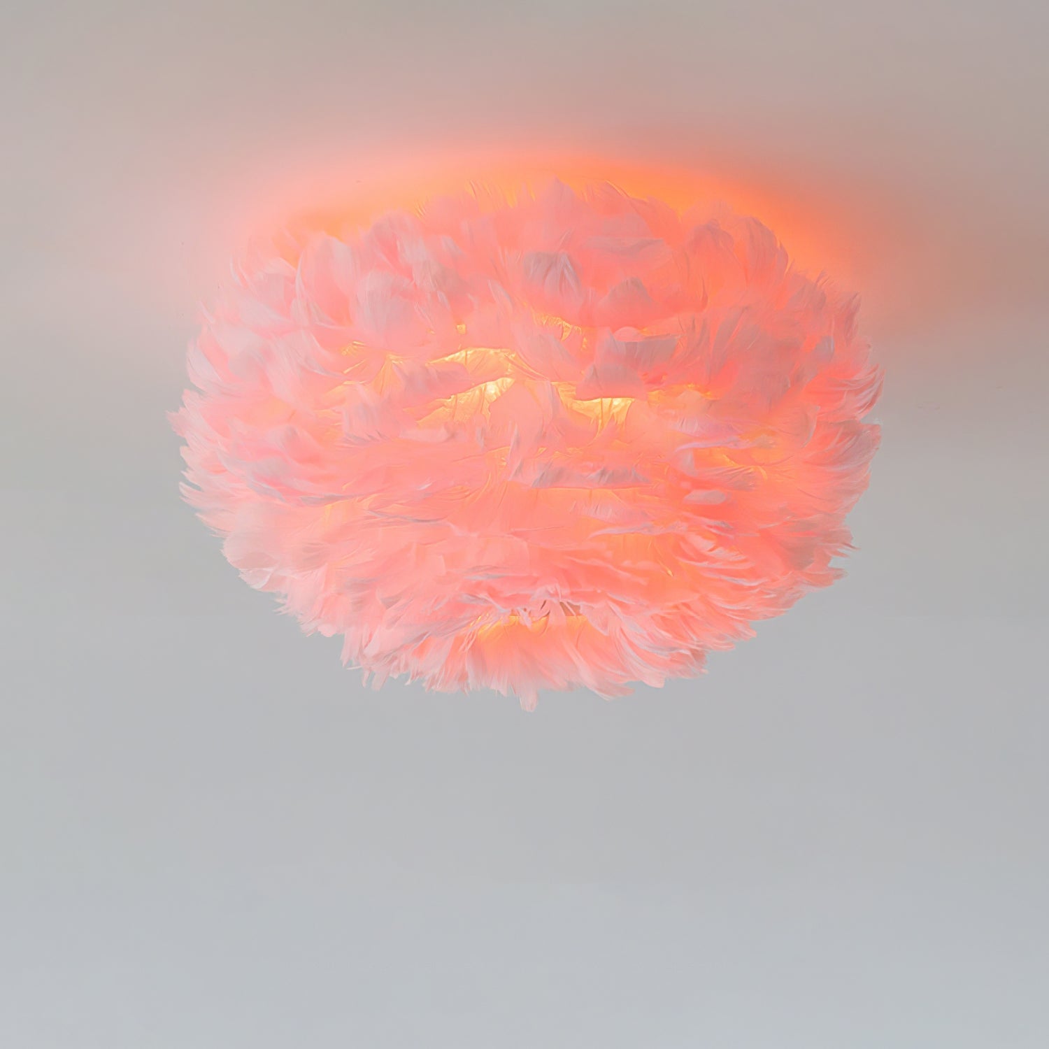 Feathered Ceiling Light