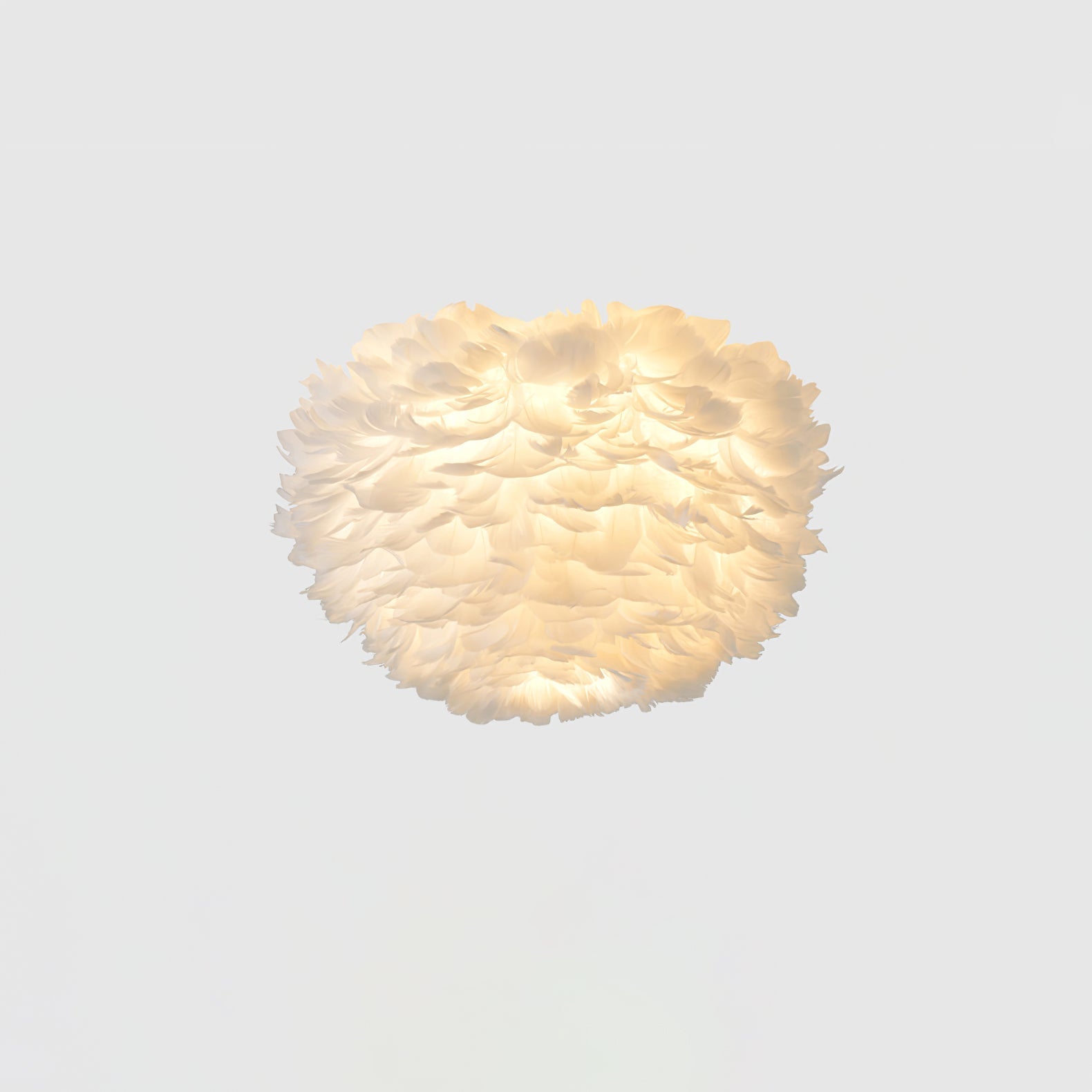 Feathered Ceiling Light