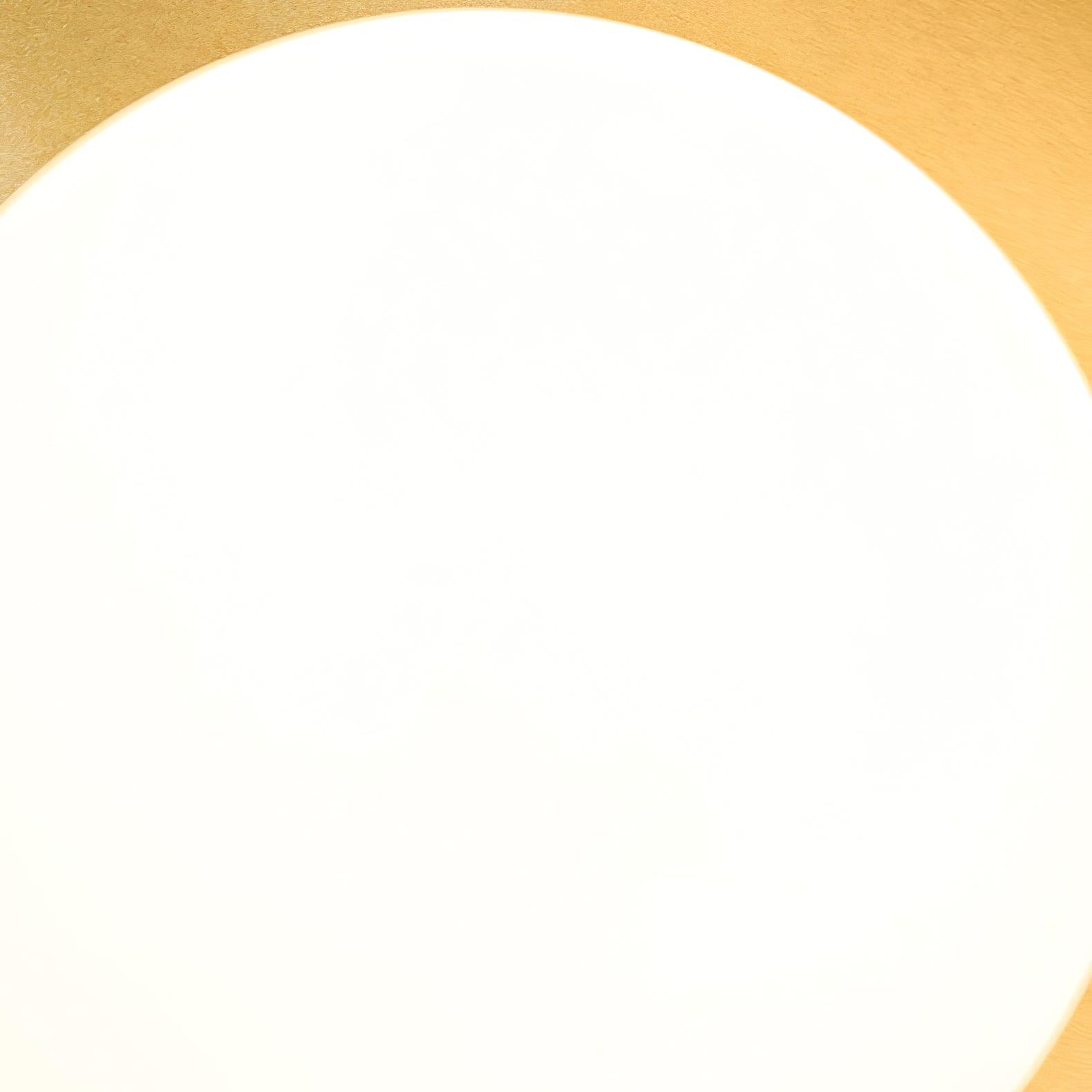Evie Wall Lamp 5.5
