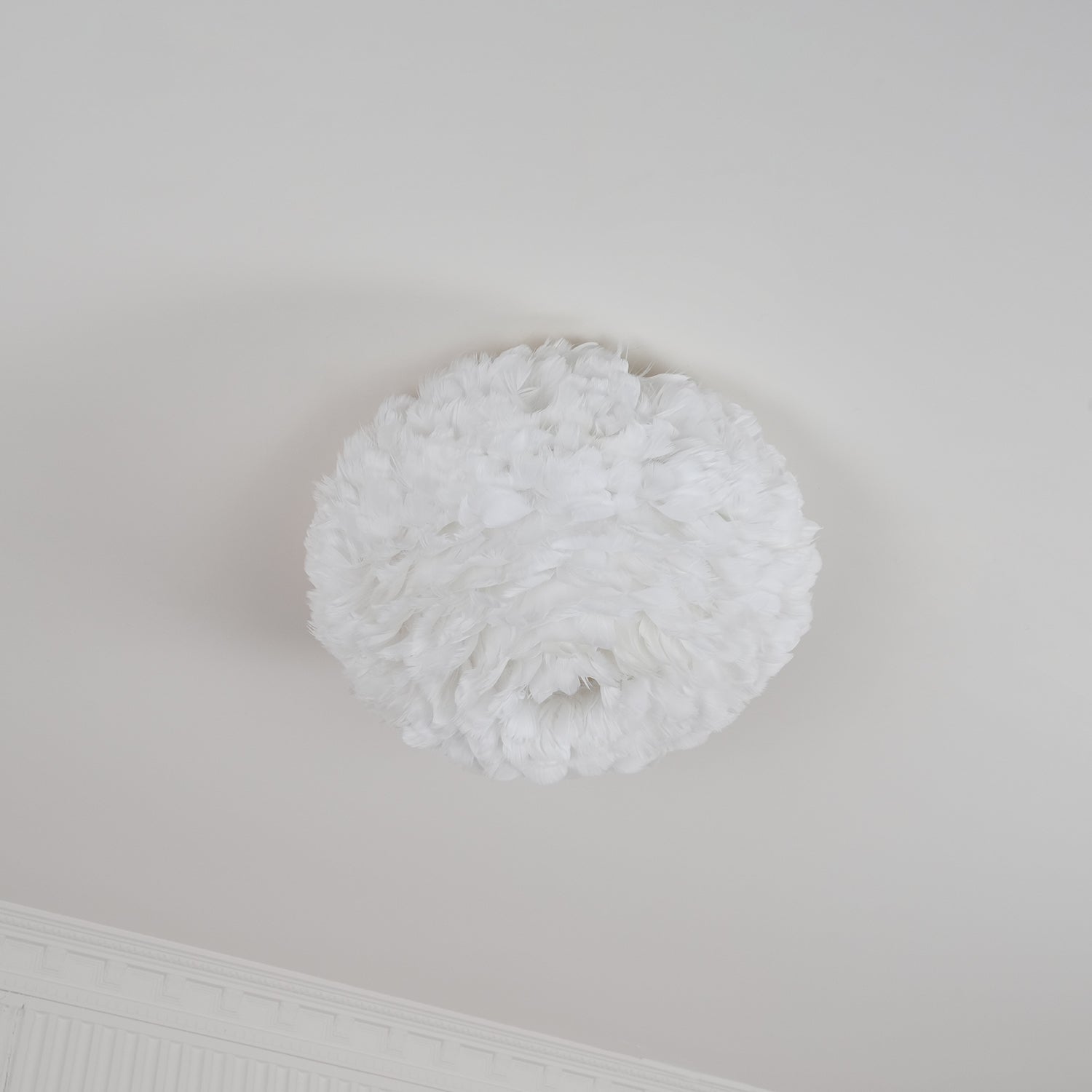 Feathered Ceiling Light