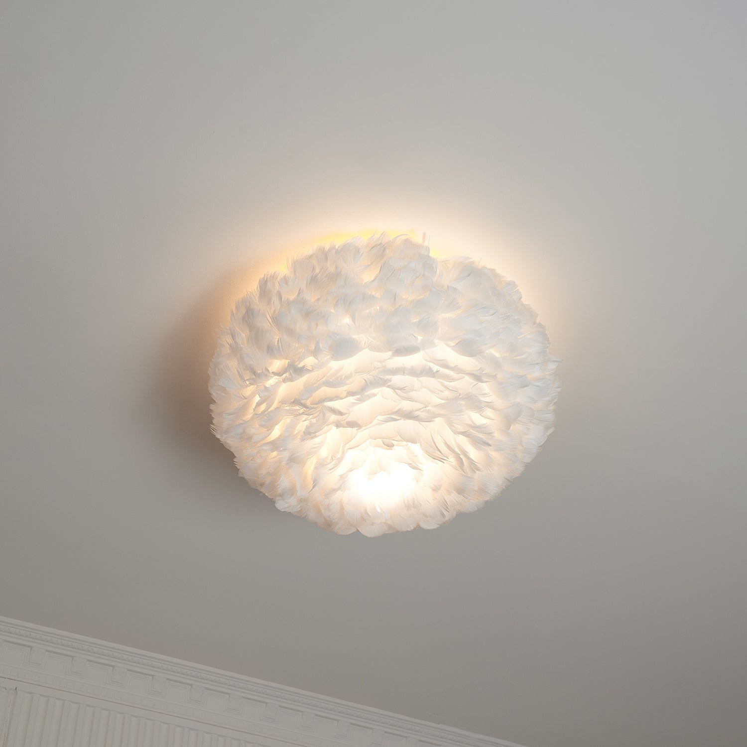 Feathered Ceiling Light