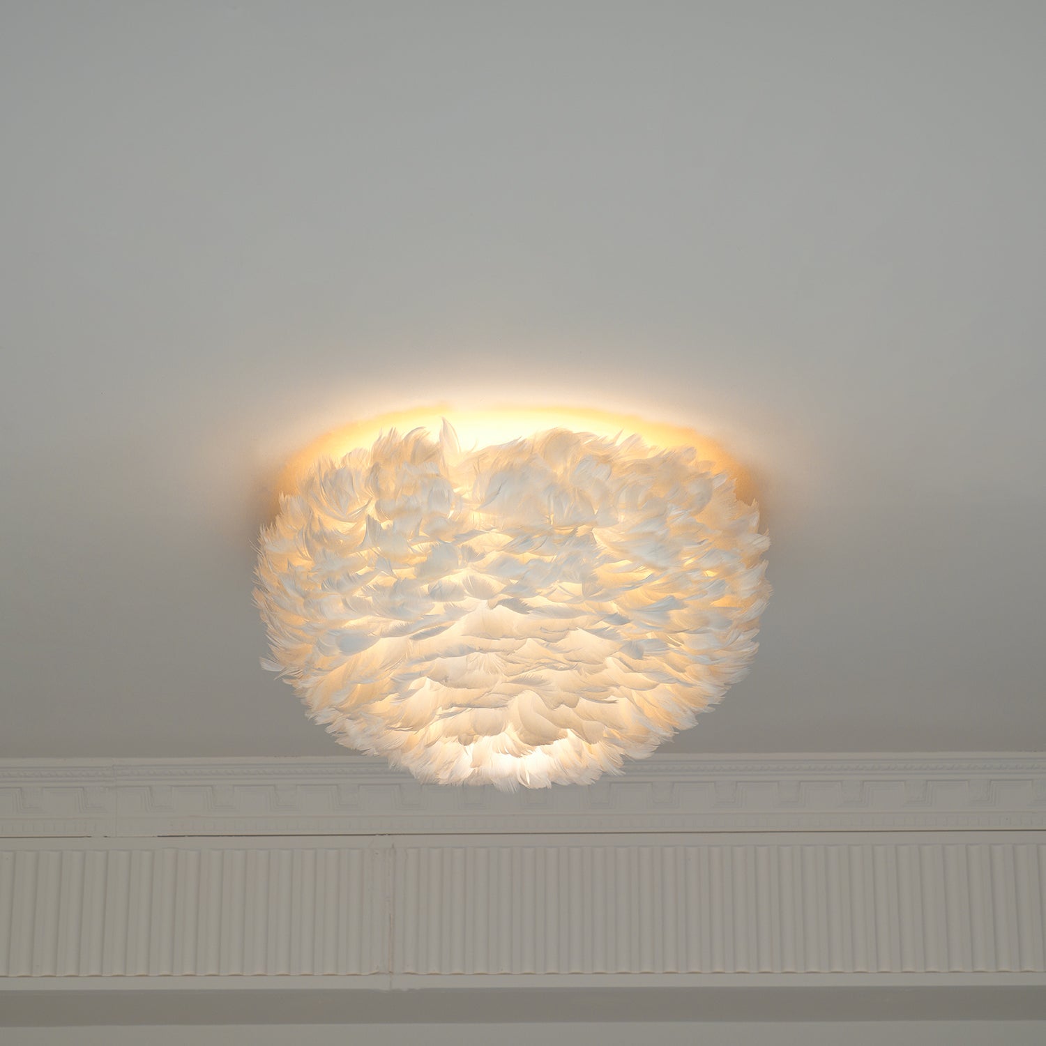Feathered Ceiling Light