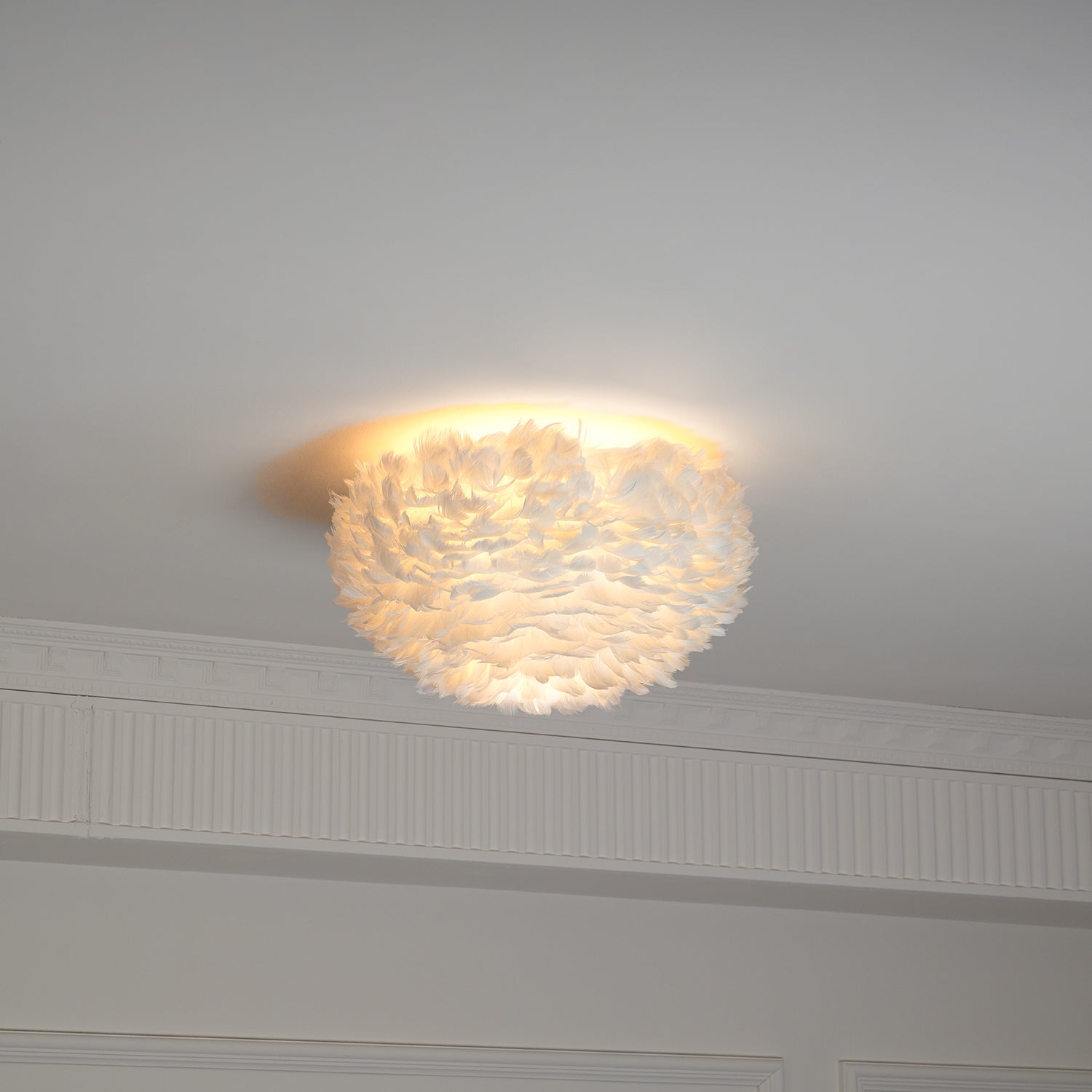 Feathered Ceiling Light