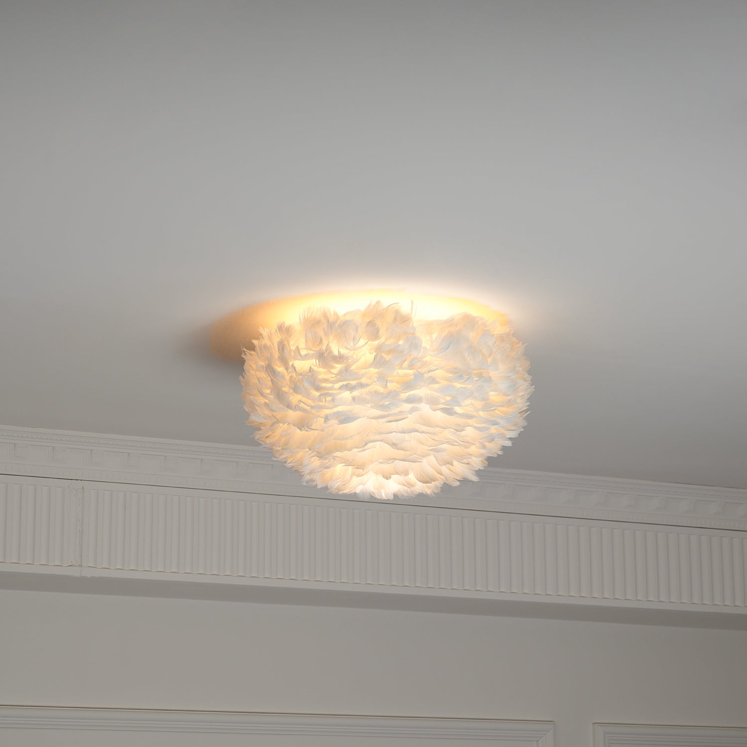 Feathered Ceiling Light