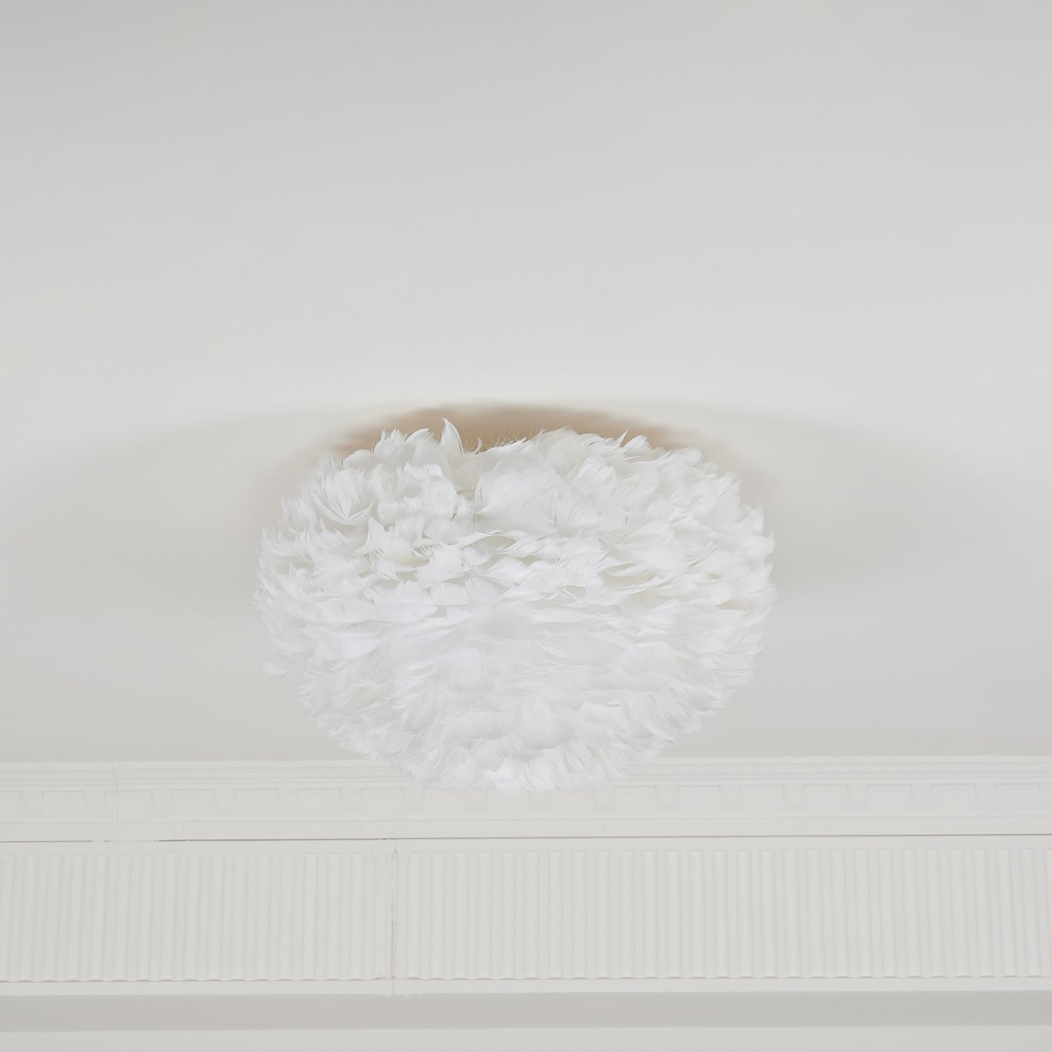 Feathered Ceiling Light