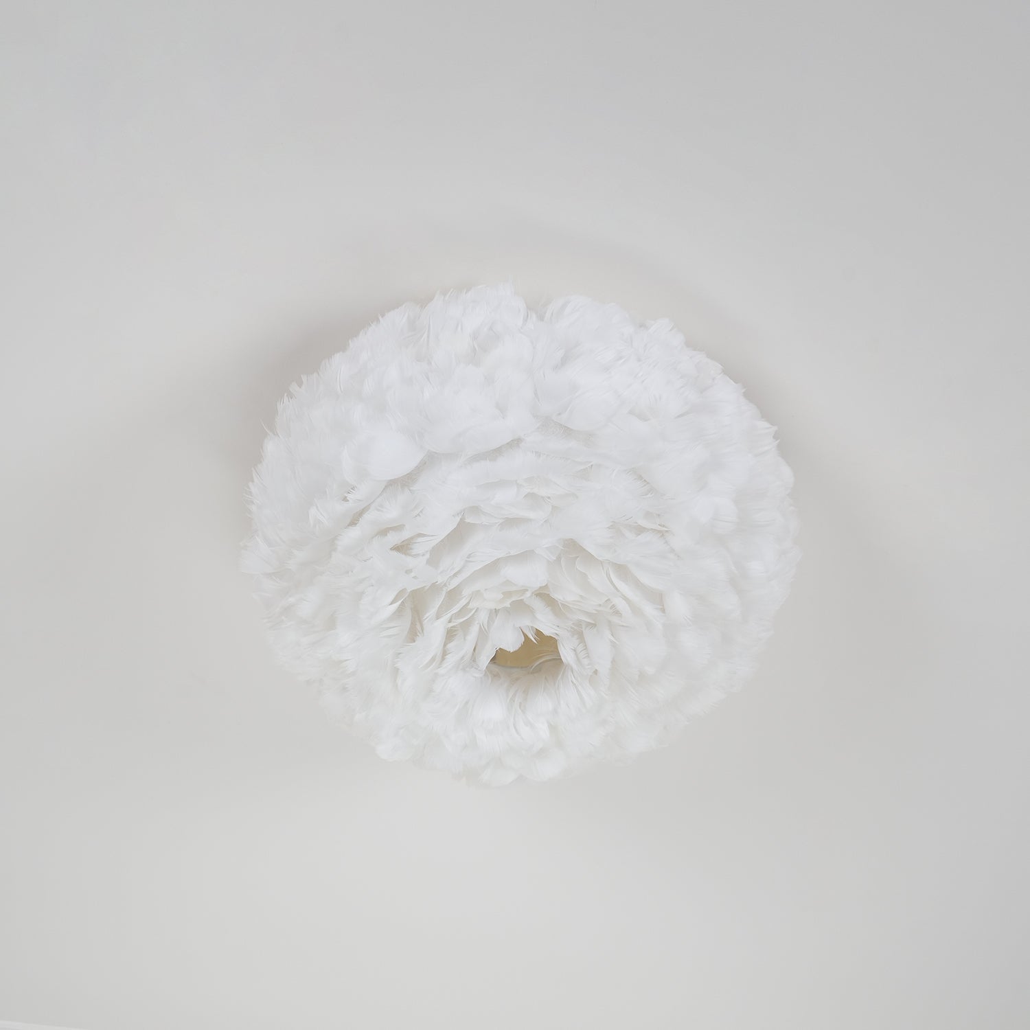 Feathered Ceiling Light