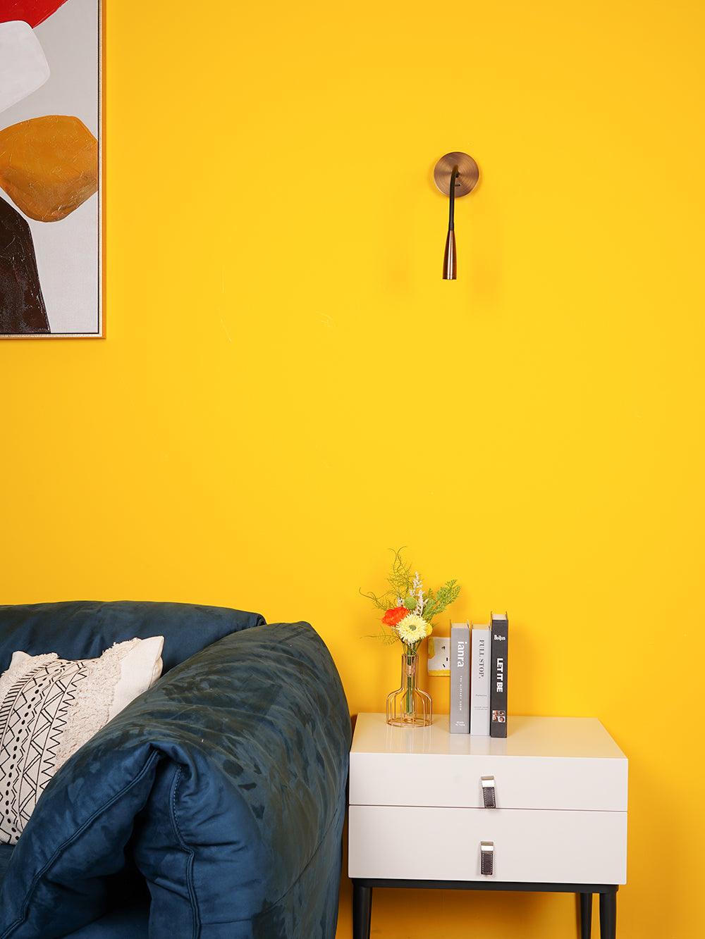 Flexi Hose Wall-mounted Light Wall Sconce