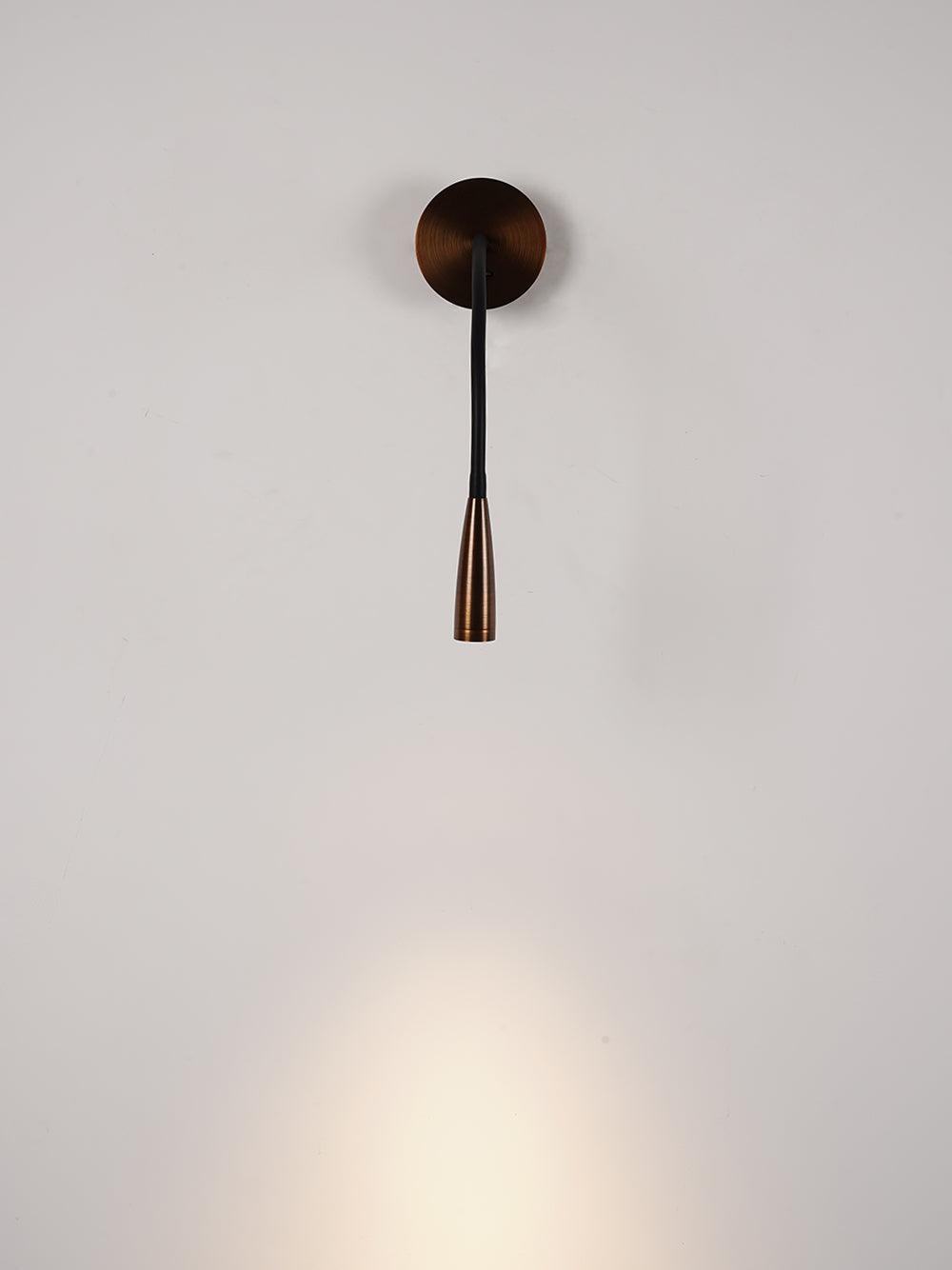 Flexi Hose Wall-mounted Light Wall Sconce