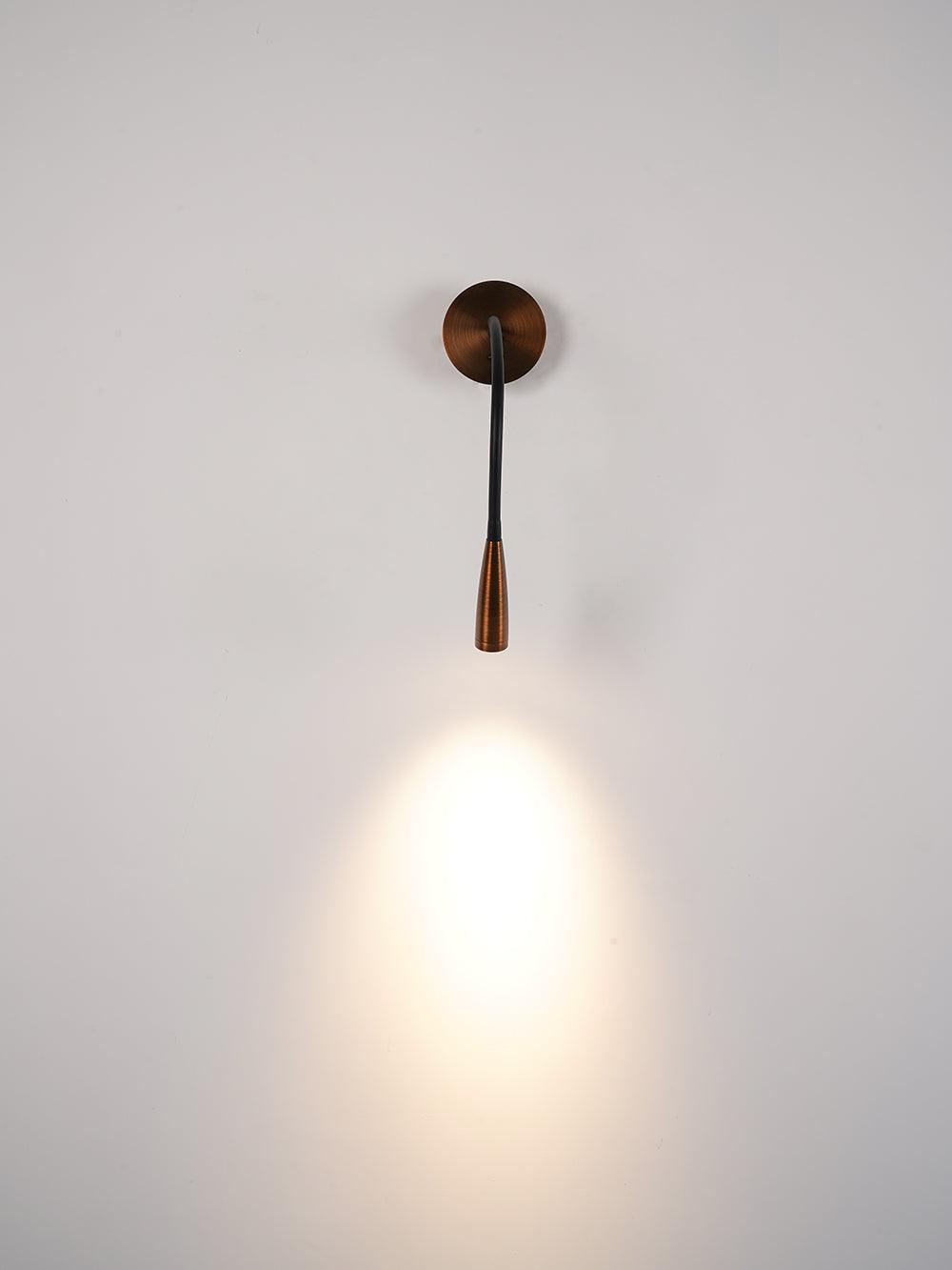 Flexi Hose Wall-mounted Light Wall Sconce