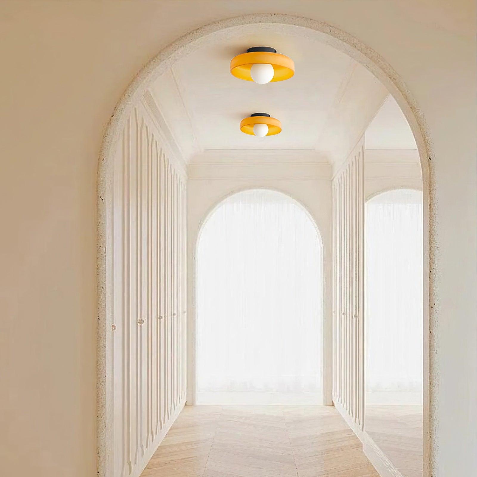 Gino Ceiling-mounted Light Ceiling Lamp