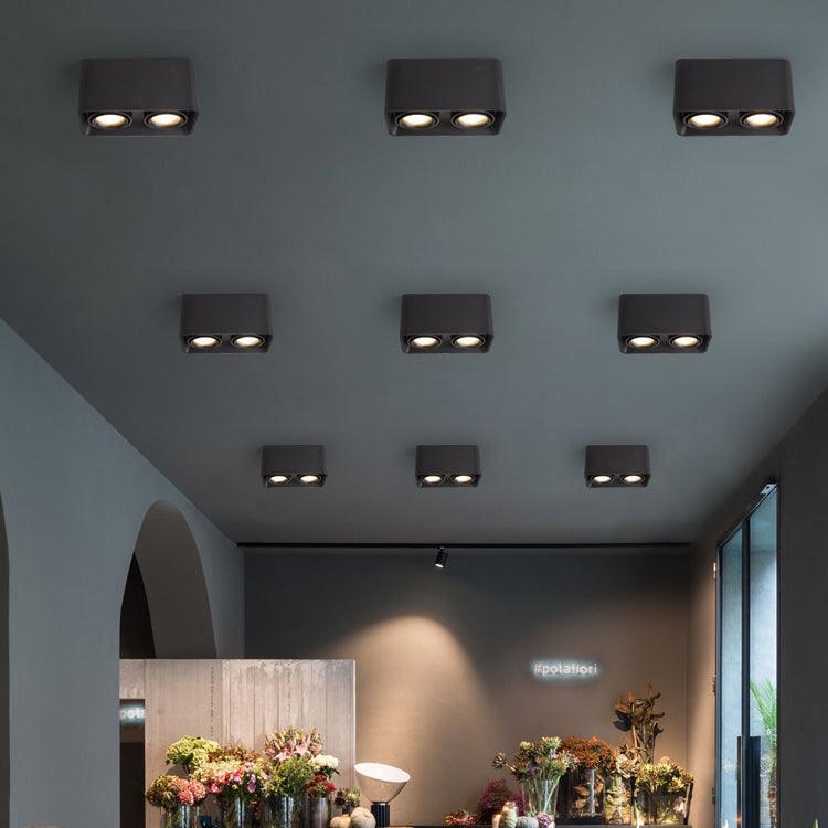 Giyan Overhead Fixture Spotlight
