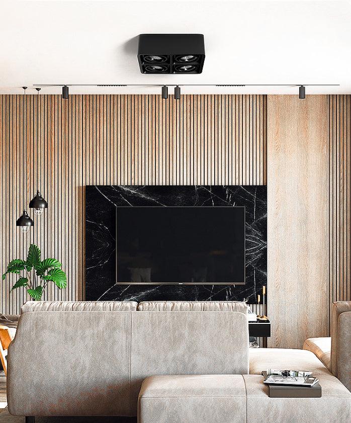 Giyan Overhead Fixture Spotlight