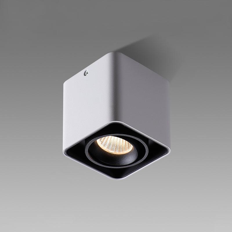 Giyan Overhead Fixture Spotlight
