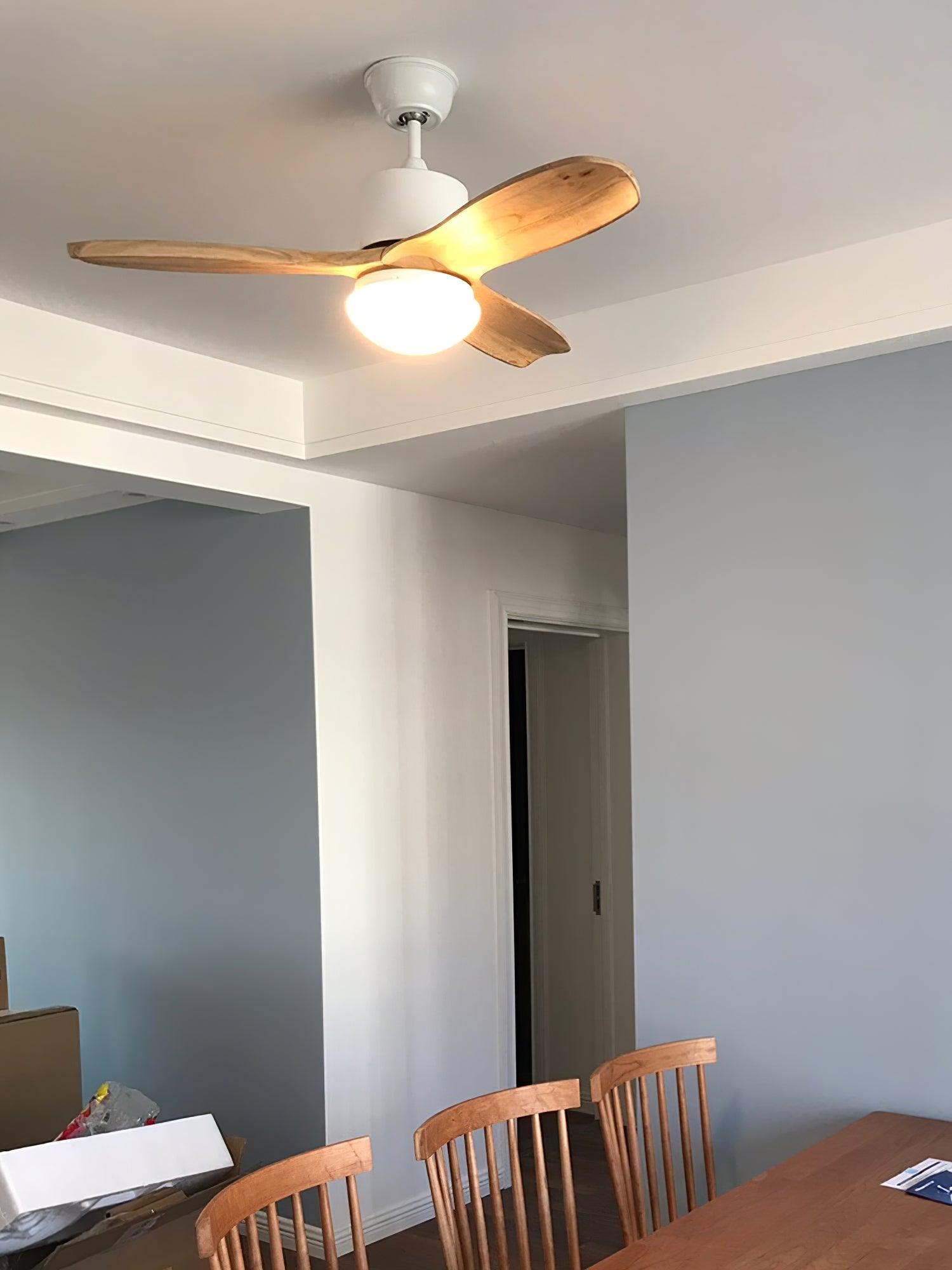 Harborough 3 Ceiling Fixture Ceiling Fan