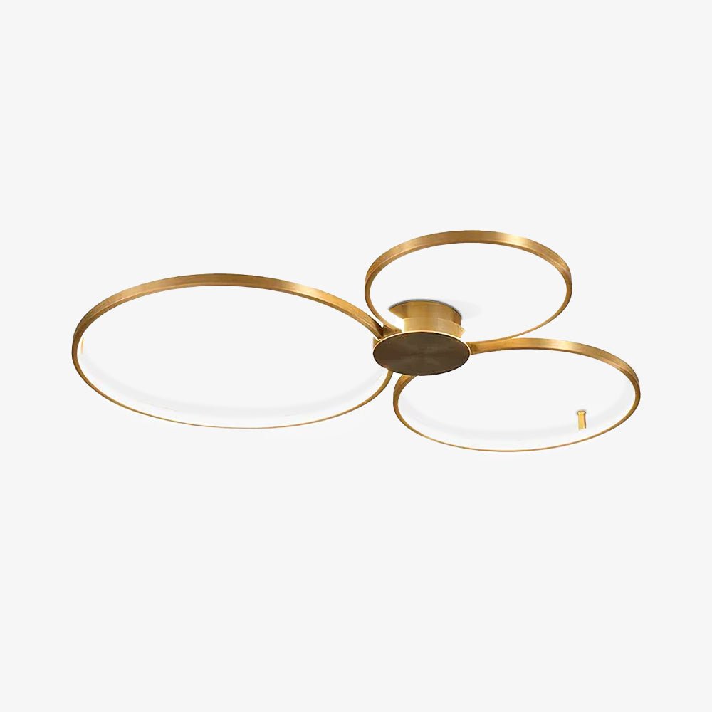 Loop LED Ceiling Fixture Ceiling Light