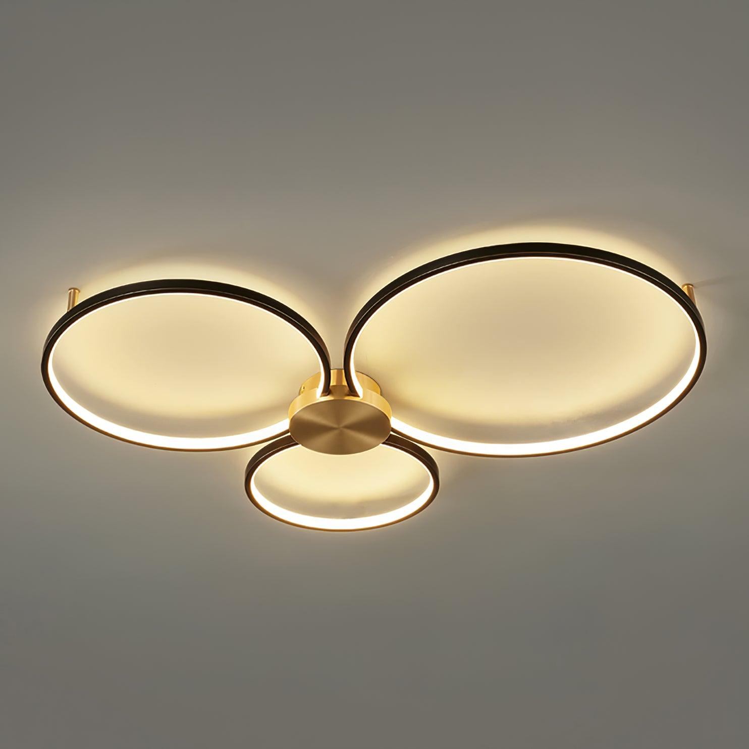 Loop LED Ceiling Fixture Ceiling Light
