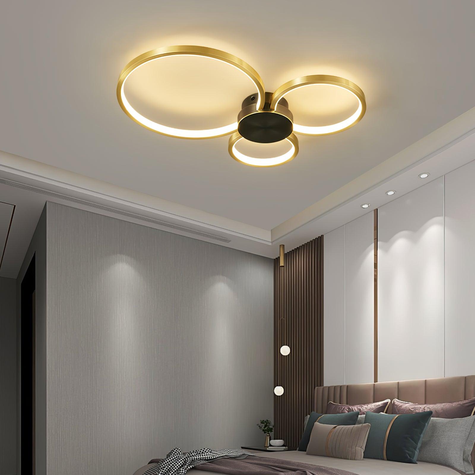 Loop LED Ceiling Fixture Ceiling Light