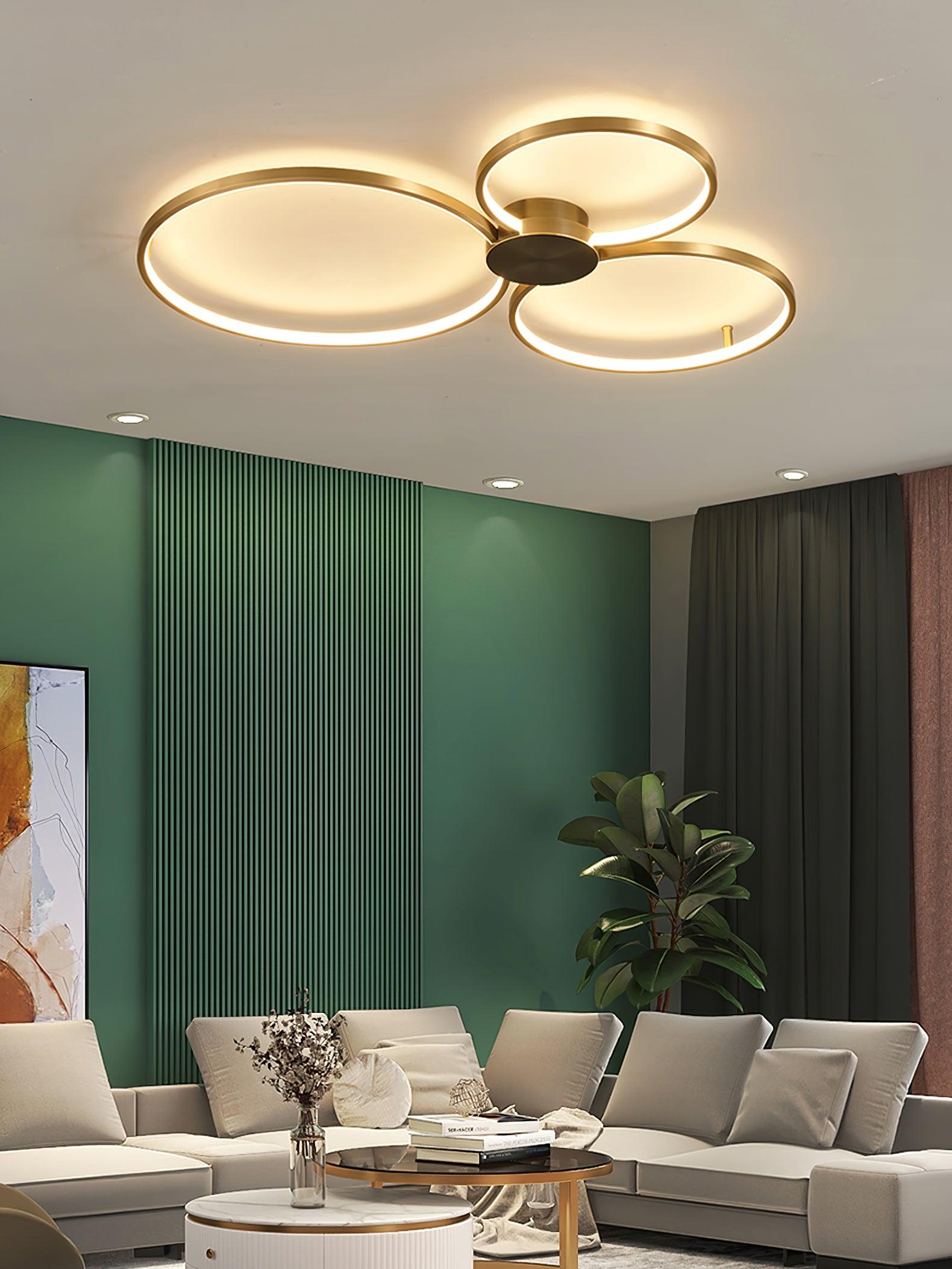 Loop LED Ceiling Fixture Ceiling Light