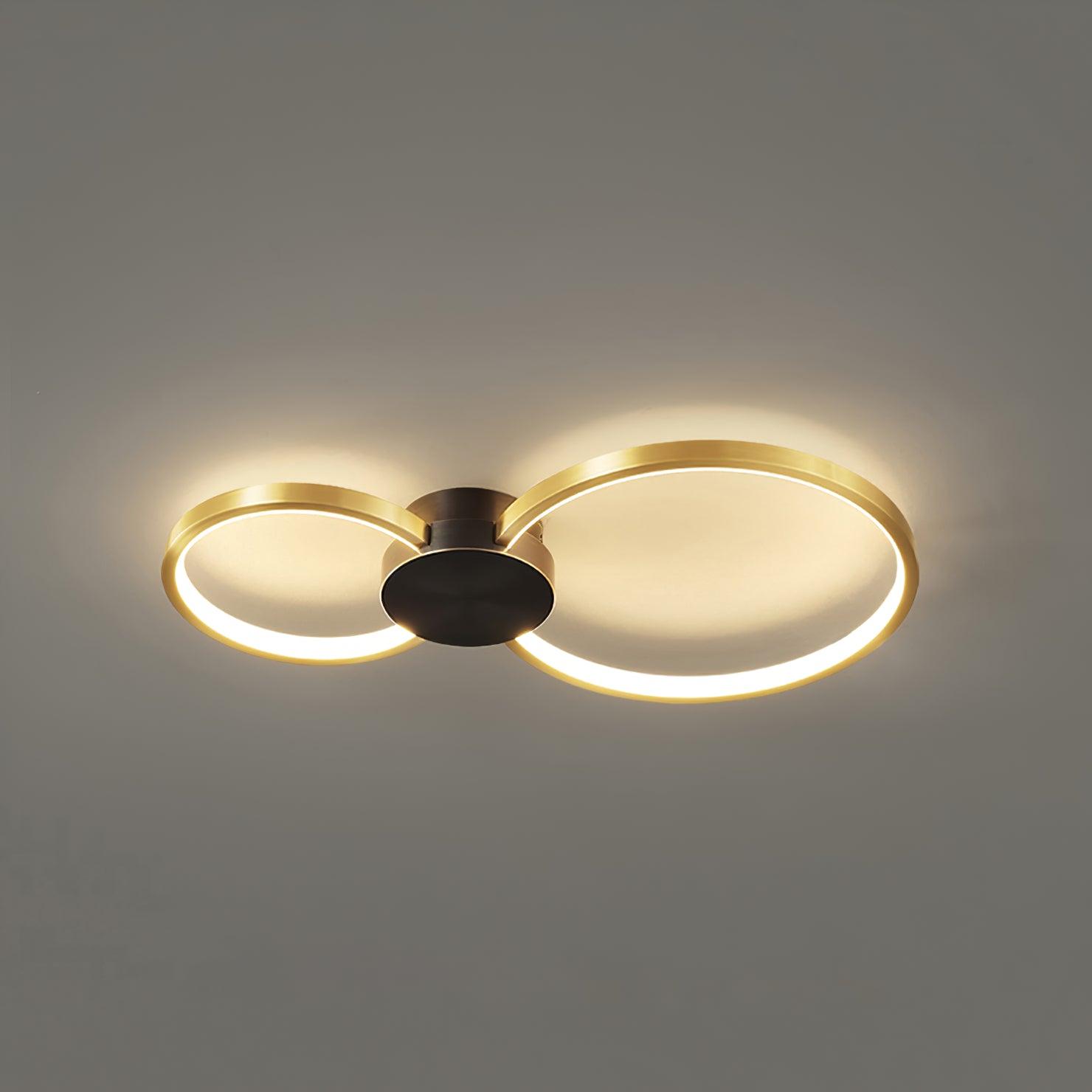 Loop LED Ceiling Fixture Ceiling Light