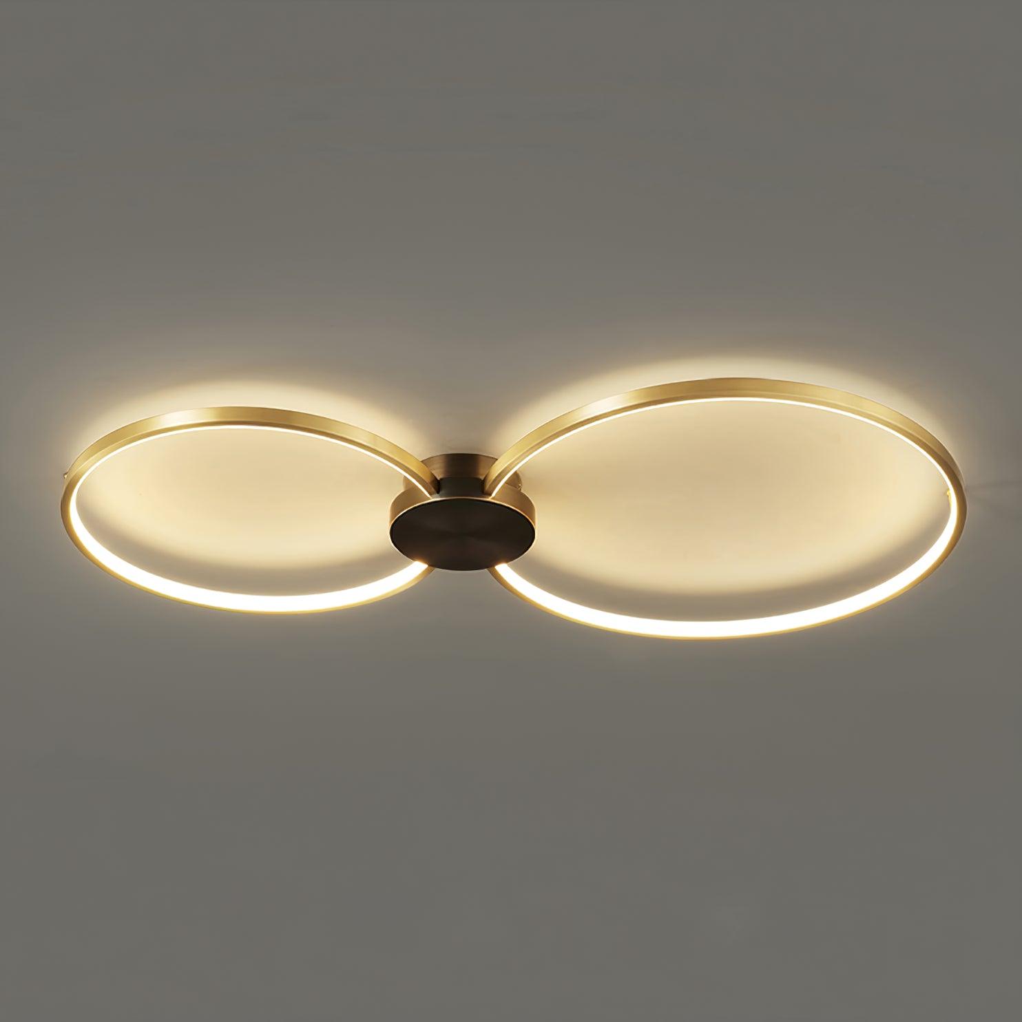 Loop LED Ceiling Fixture Ceiling Light