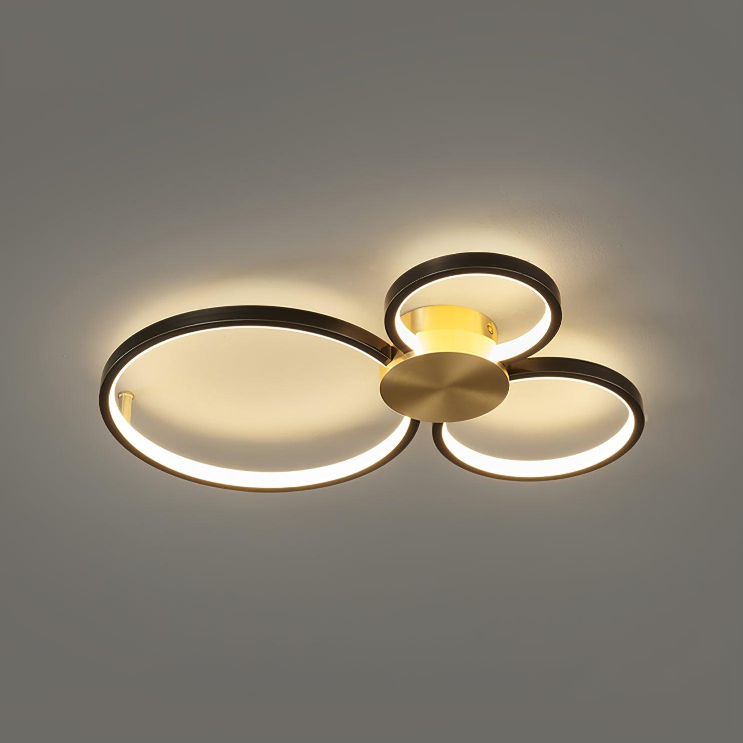 Loop LED Ceiling Fixture Ceiling Light