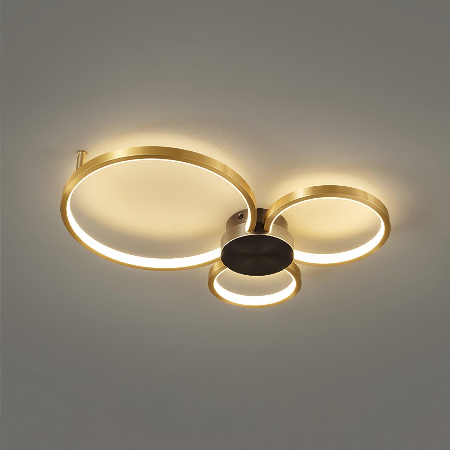Loop LED Ceiling Fixture Ceiling Light