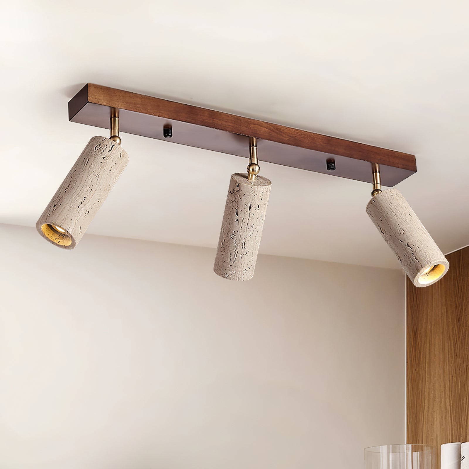 Nimbus Ceiling Spotlight Ceiling Light