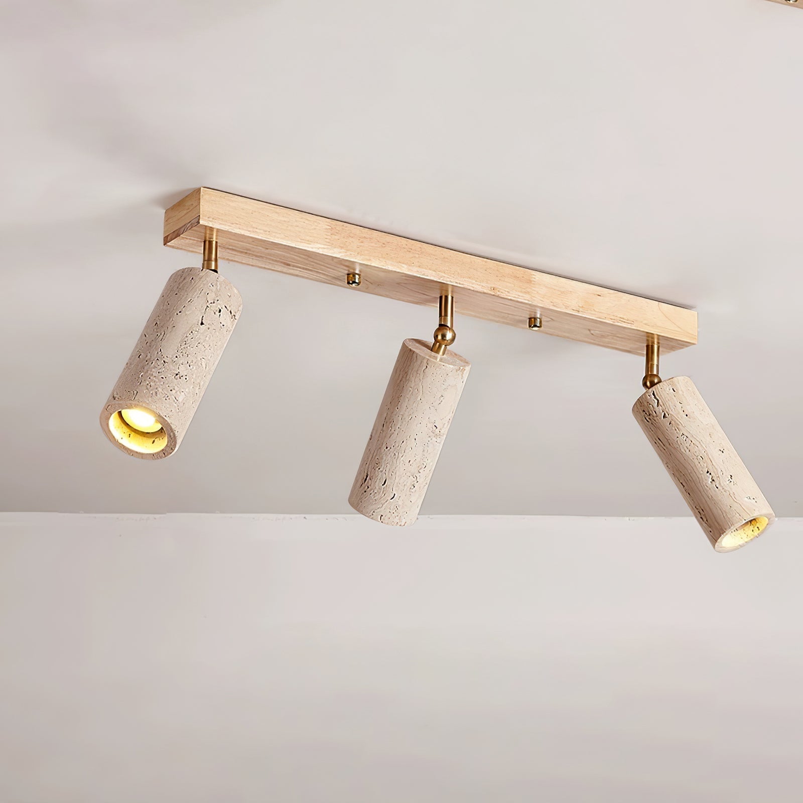 Nimbus Ceiling Spotlight Ceiling Light