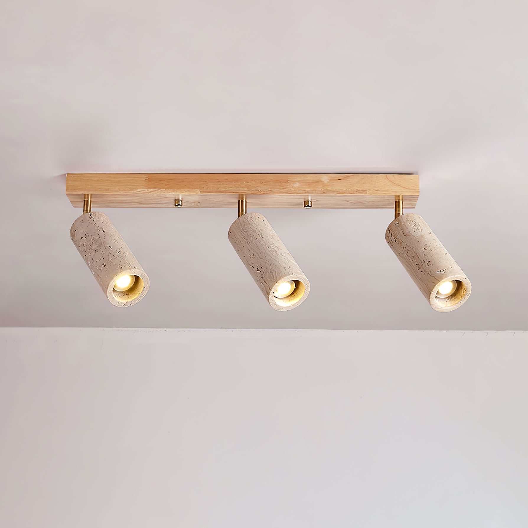 Nimbus Ceiling Spotlight Ceiling Light