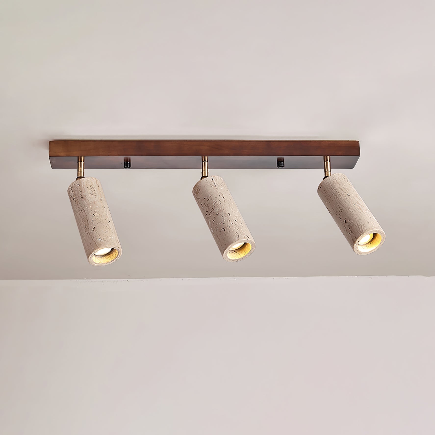 Nimbus Ceiling Spotlight Ceiling Light