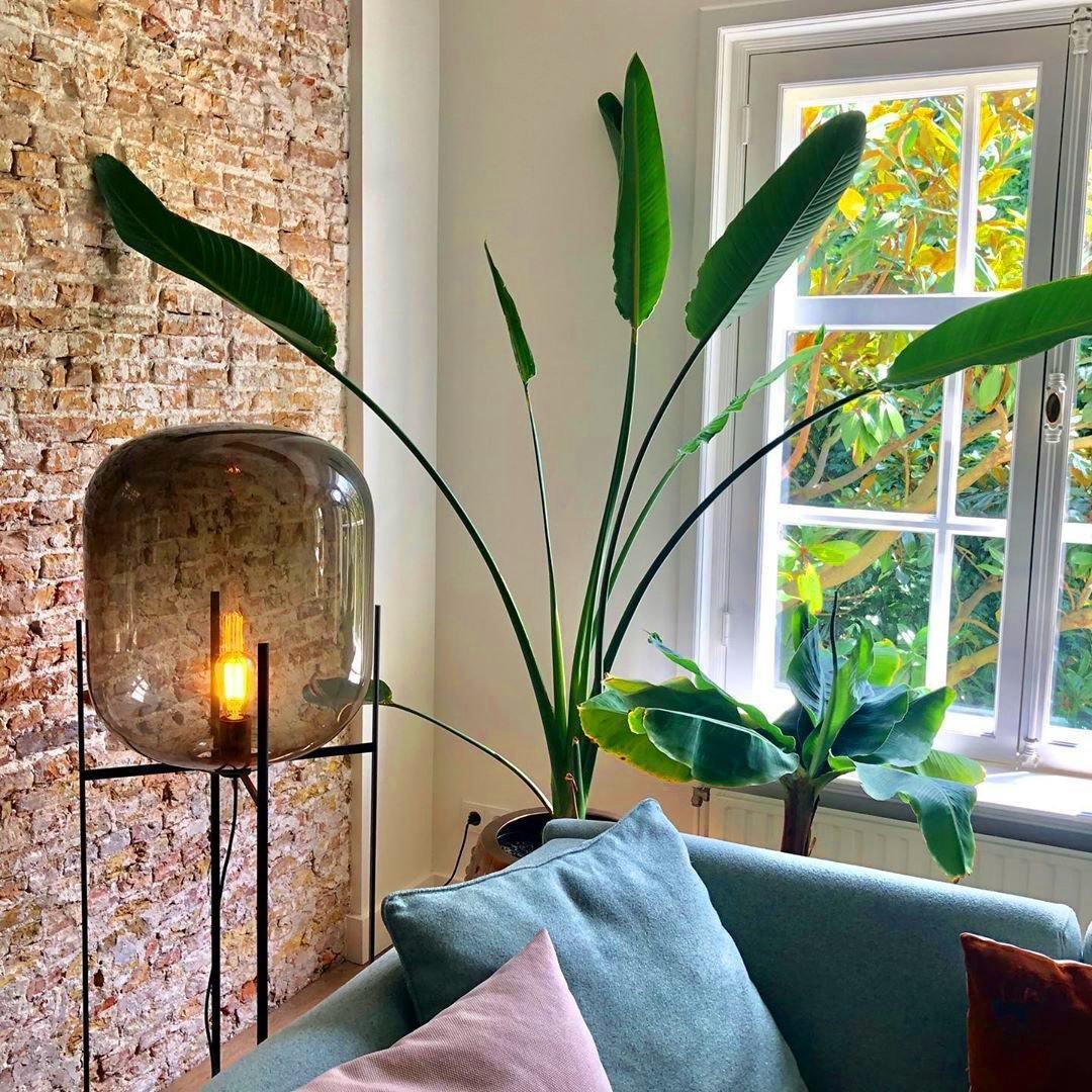 Oda Floor Lamp