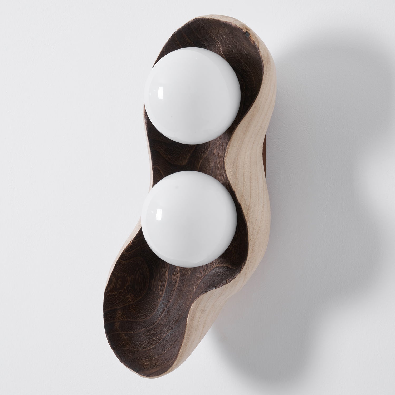 Dualis Rootlight Wall Sconce