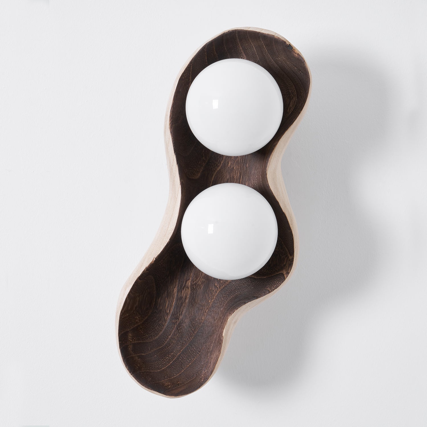 Dualis Rootlight Wall Sconce