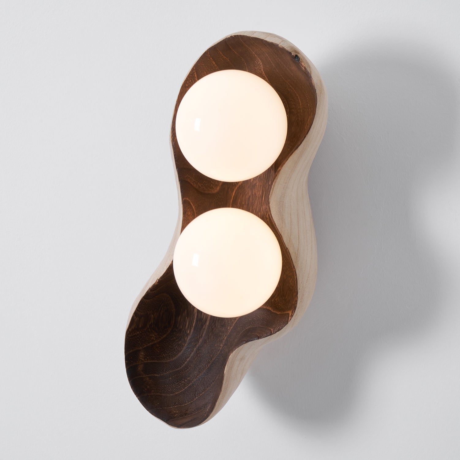 Dualis Rootlight Wall Sconce