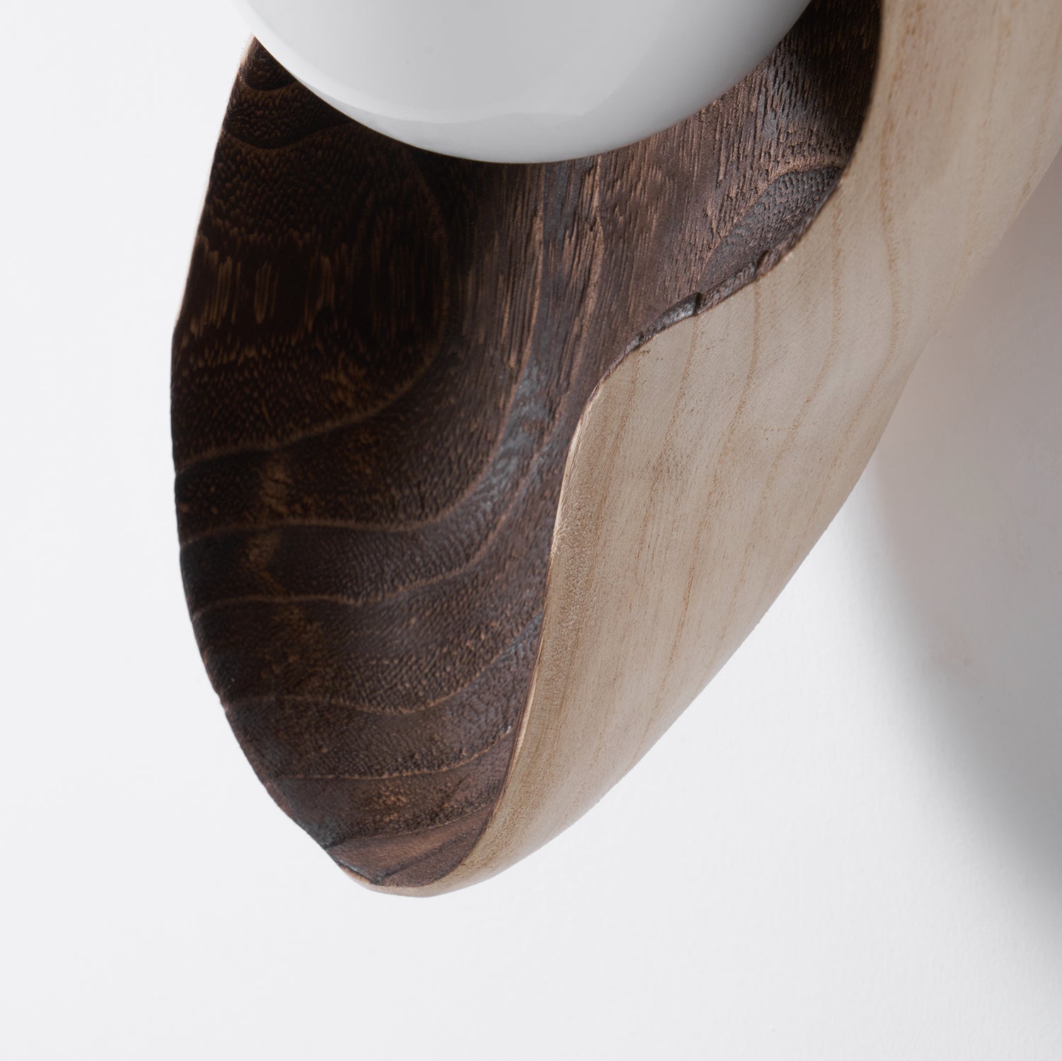Dualis Rootlight Wall Sconce