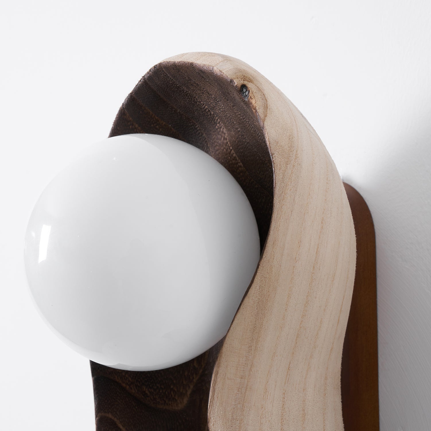 Dualis Rootlight Wall Sconce